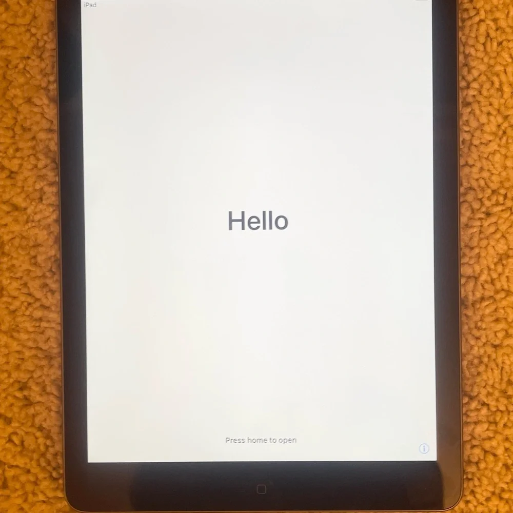iPad Air Mini 1st? 2nd? Generation Factory Reset Space Grey